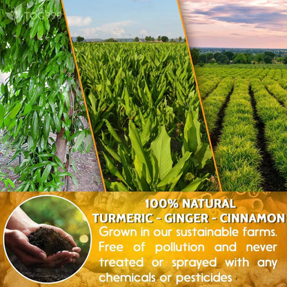 Turmeric Ginger Cinnamon Tea